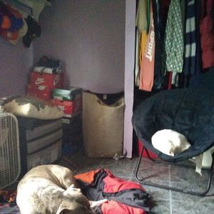 Meet your Posher, Tito